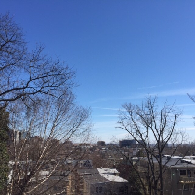 View From Balcony - 810 N Harrison St