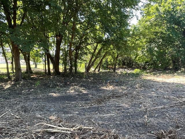 Building Photo - 156 Creekview Meadows Dr