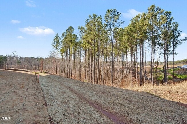 Building Photo - 3020 Everton Ave