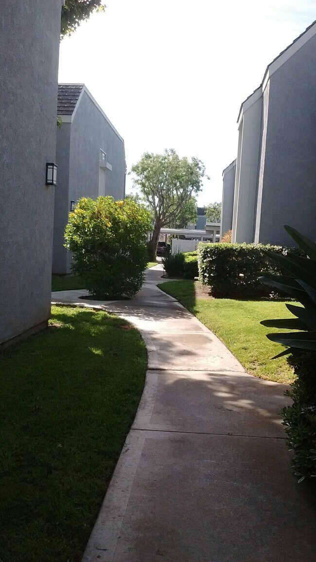 35 Firwood, Unit Room 3 35 Firwood Irvine CA 92604 Apartment Finder