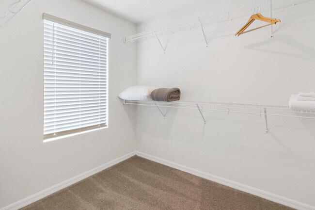 Building Photo - 1828 Tropical Palms Cir