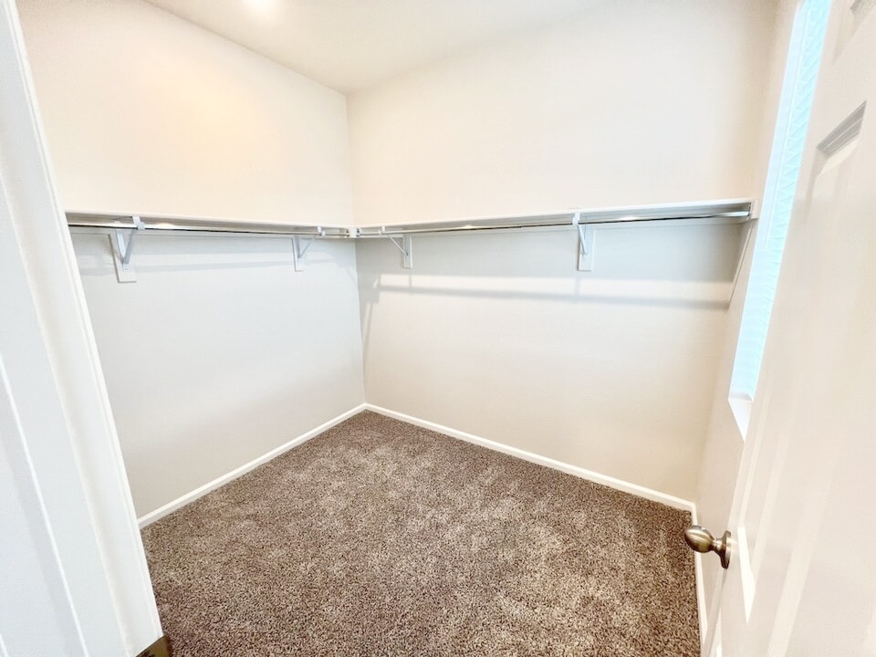 Walking closet in primary suite - 13735 Del Corso Way