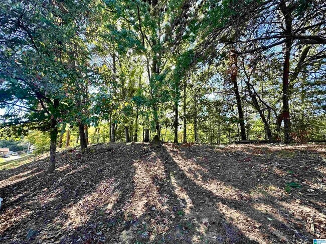 Building Photo - 678 Cummins Ave