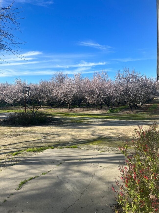 Building Photo - 2 bedroom 2 bath Country House with Big Den