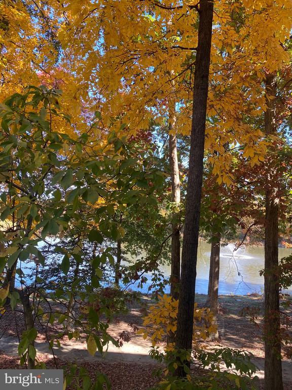 Building Photo - 1720 Lake Shore Crest Dr