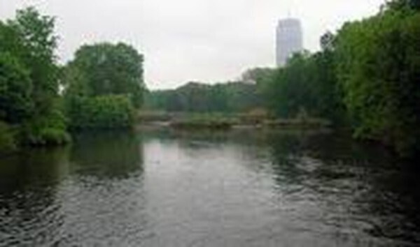 Building Photo - 61 Park Dr