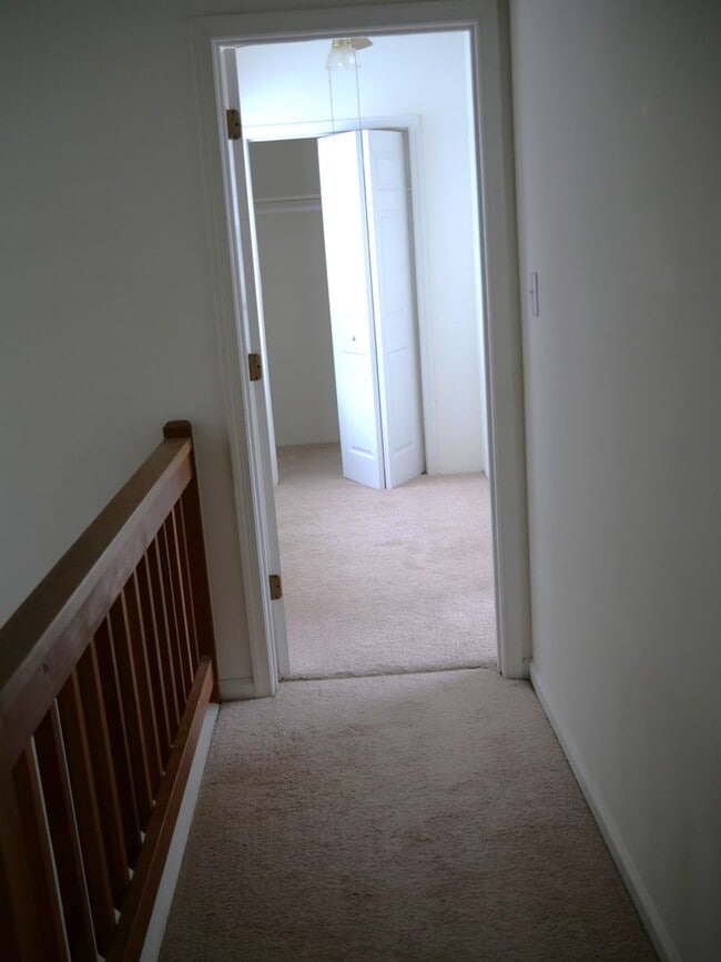 Building Photo - 113 Amelia Ct