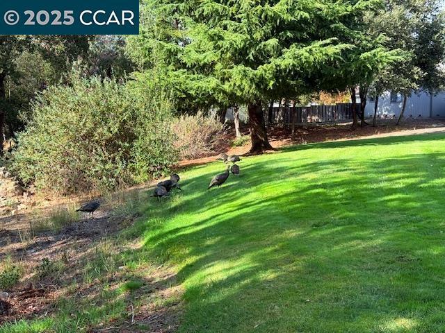 Building Photo - 10 Tarn Ct