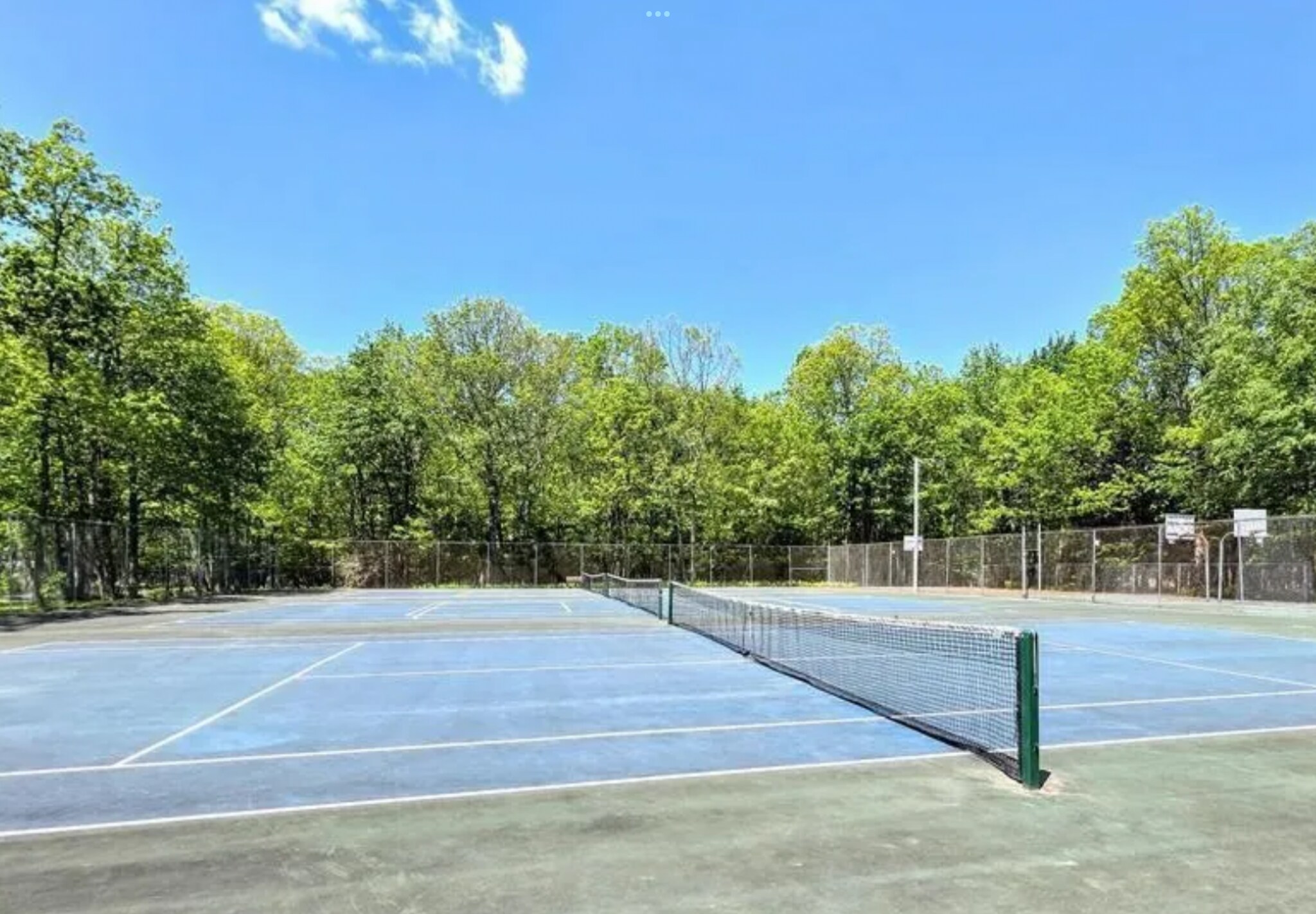 Tennis / pickle ball courts - 161 Piney Woods Dr