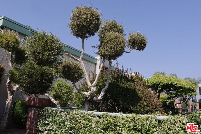 Building Photo - 5301 Balboa Blvd