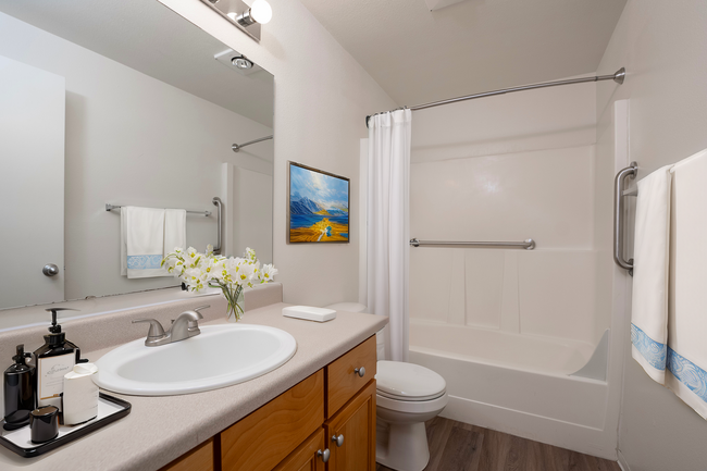 Bathroom* - Orchard Ridge Apartments