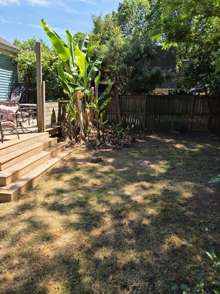 Back yard - 249 Powell St SE