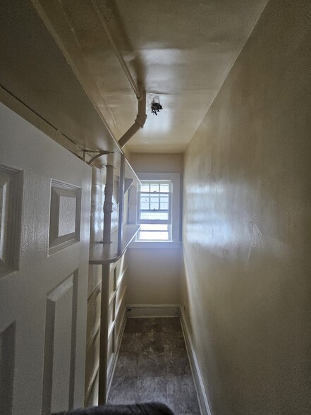 Walk in pantry - 63 Plymouth St