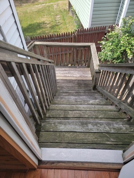 rear steps - 407 Bloom St