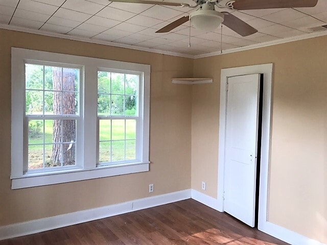 Building Photo - 107 Laircey St