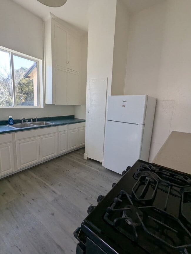 Building Photo - Pet friendly, downtown duplex