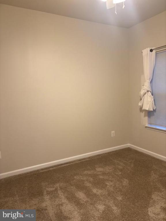 Building Photo - 11033 Blackburn Cove Ln