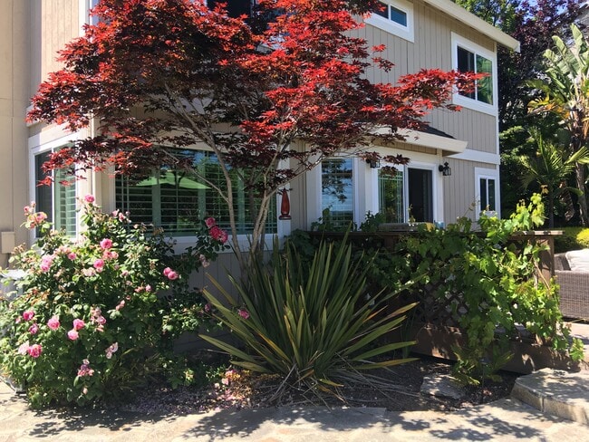 Building Photo - 5841 Charter Oaks Dr