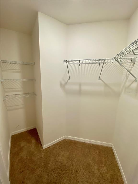 Building Photo - 8659 Silverbell Loop