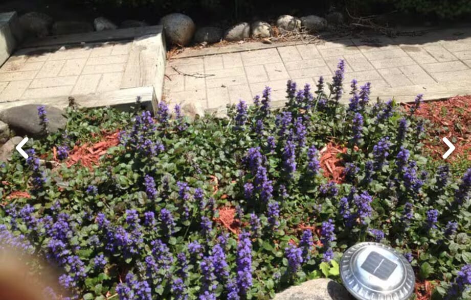 Building Photo - 26B Rochester St