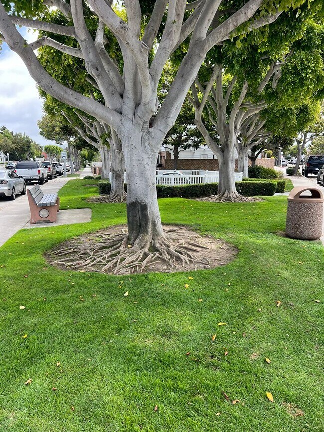 Building Photo - 1505 E Balboa Blvd