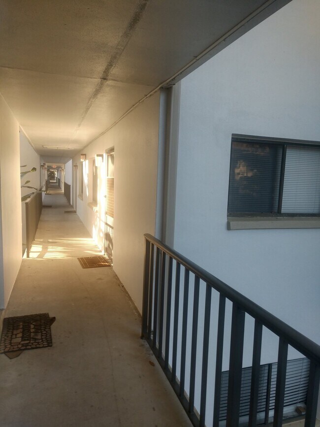 Building Photo - 2 Bedroom/2 Bath Palm Harbor Condo