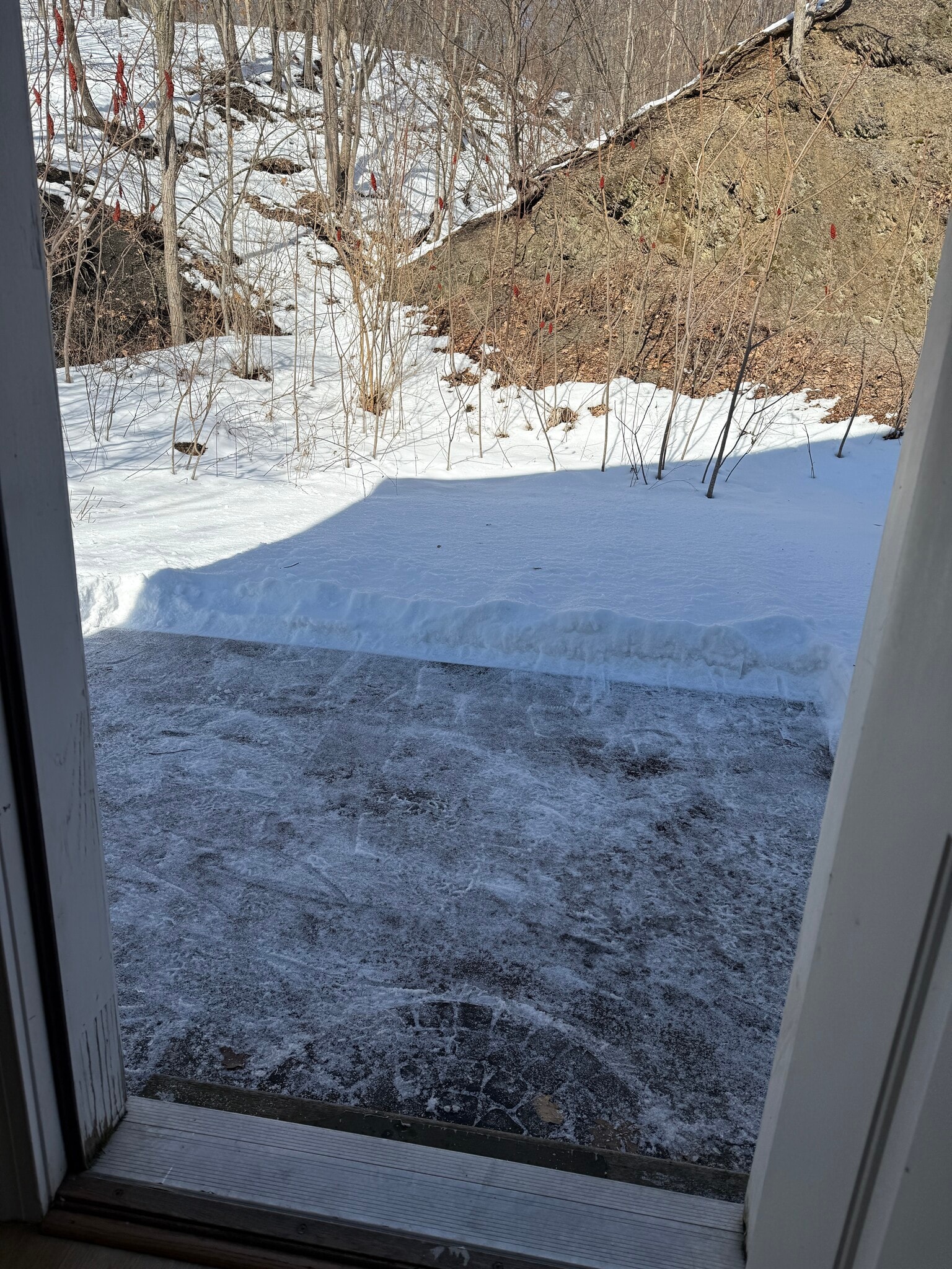 Patio - 300 Saratoga Ave