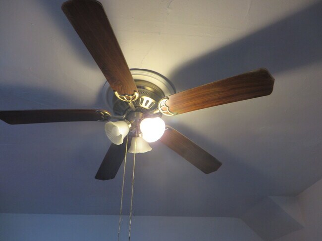 Building Photo - Large Three Bedroom, 1.5 Bathroom Home hal...