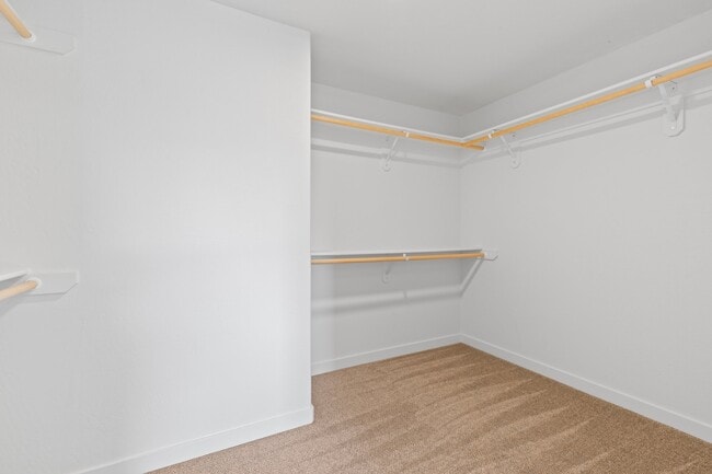 Building Photo - 1626 Dragon Tail Pl