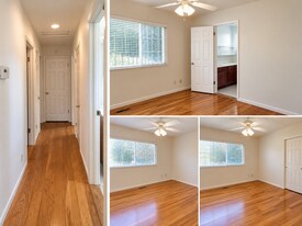 Building Photo - 161 Rolph Park Dr