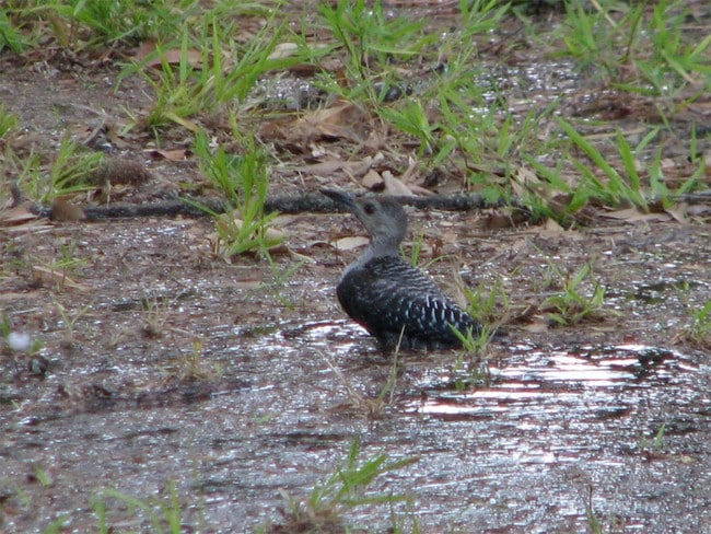 Building Photo - 705 Alabama St