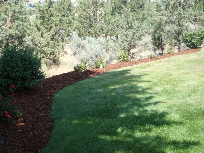 Building Photo - Executive Suite/Vacation/Short Term Rental 30-90 days