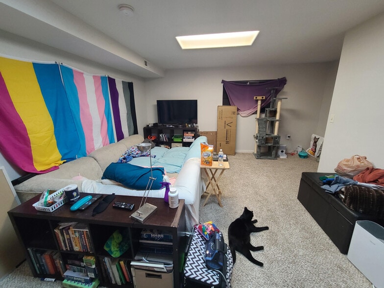 Bonus Room (basement) - 476 E Acoma Rd