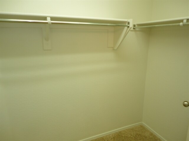 Building Photo - 18471 N Celis St