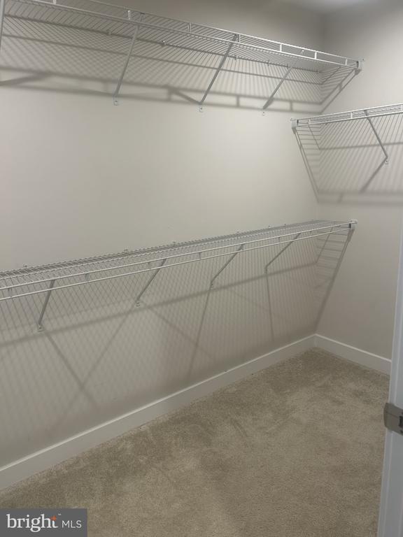 Building Photo - 105 Cabbage White Dr