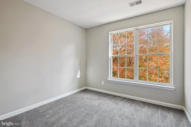 Building Photo - 4851 Ebb Tide Ct