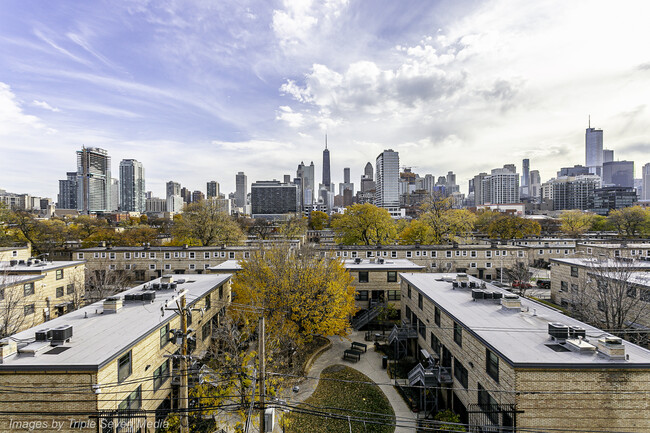 Building Photo - 873 N Larrabee St