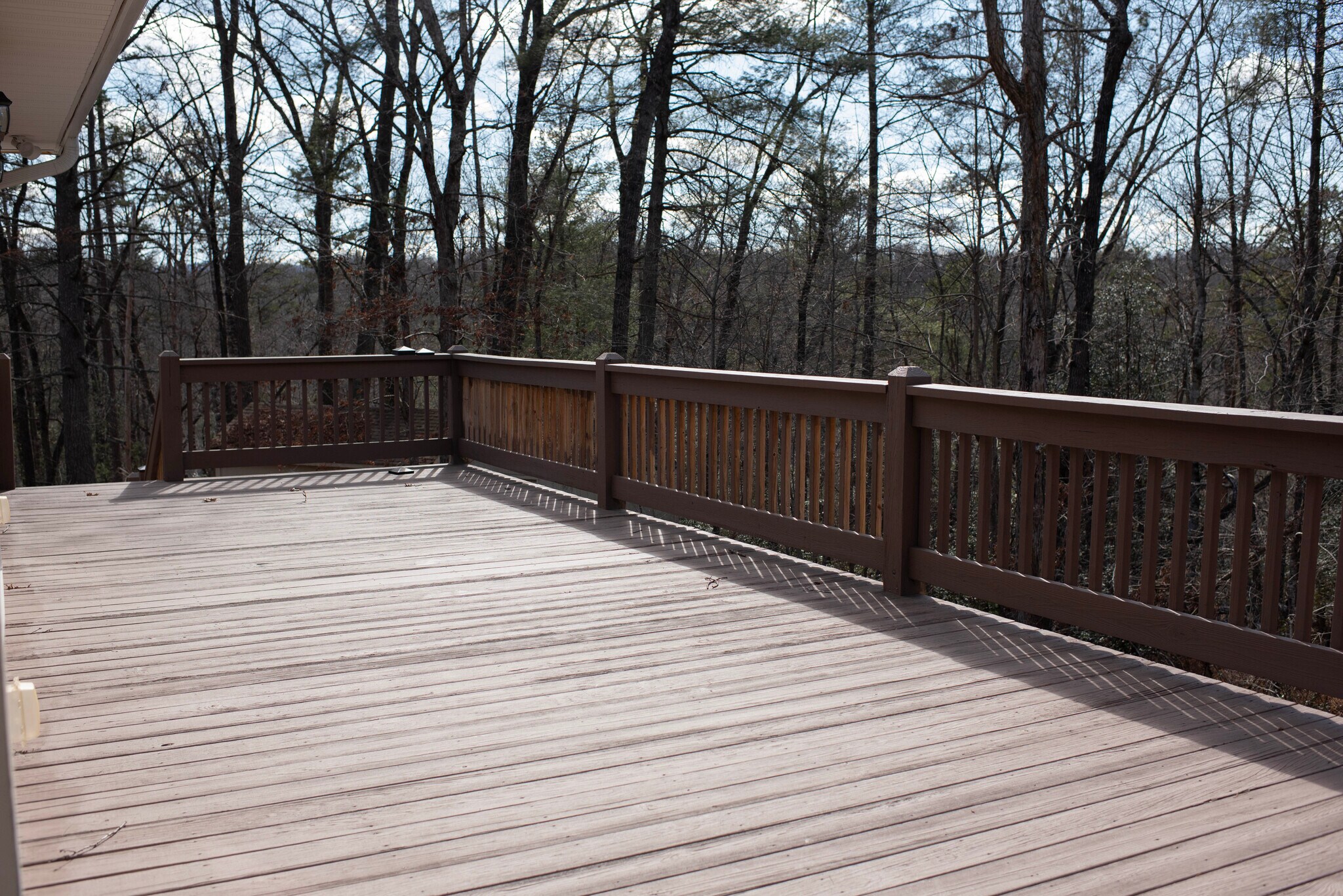 Building Photo - 238 Appaloosa Ridge Rd