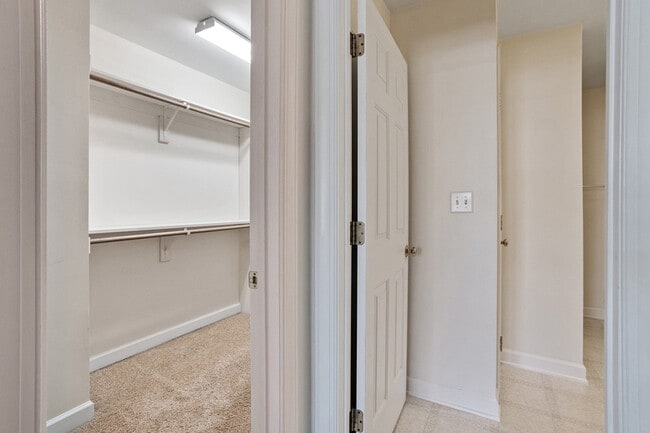 Building Photo - 8105 Satillo Ln