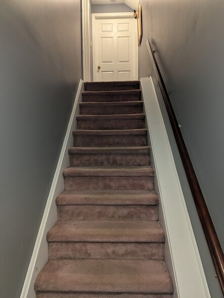 Entrance staircase - 2147 Salisbury Park Dr