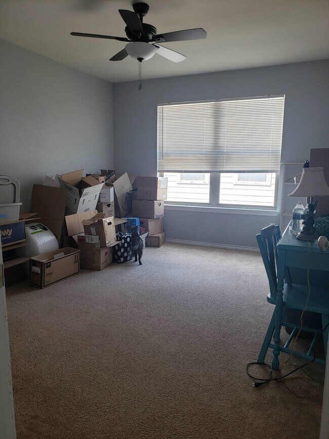 Guest bedroom 3 - 1824 Bayland St