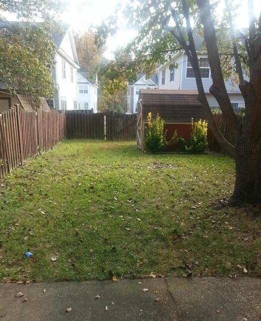 Backyard - 21822 Ronald Dr