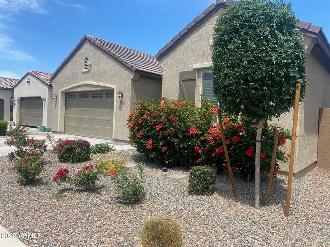 Building Photo - 2516 E King Bird Dr