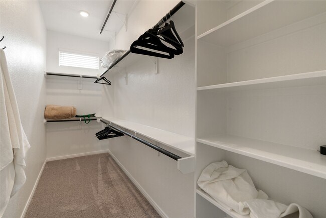 Building Photo - 603 Silver Pear Ct