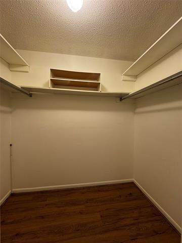 Building Photo - 3205 Pin Oak Dr