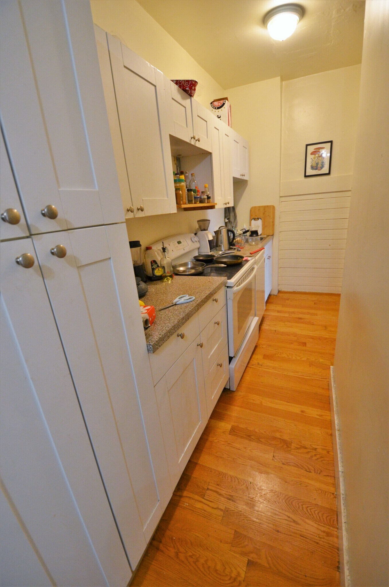 Building Photo - 37 Brookline St