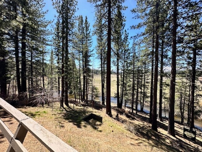 Building Photo - Warm & Inviting Cabin on the Meadow Avail. rental for 6-7 people!! Available starting 8/15/26!! C...