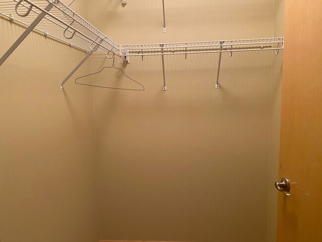 Walk in Closet - 3251 Louisiana Ave S