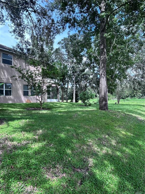 Building Photo - 1531 McCrea Dr