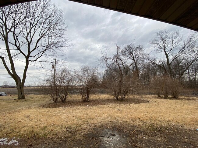 private view from back - 2727 Angela Dr